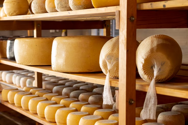 Quels sont les principaux types de fromages disponibles sur le marché ?