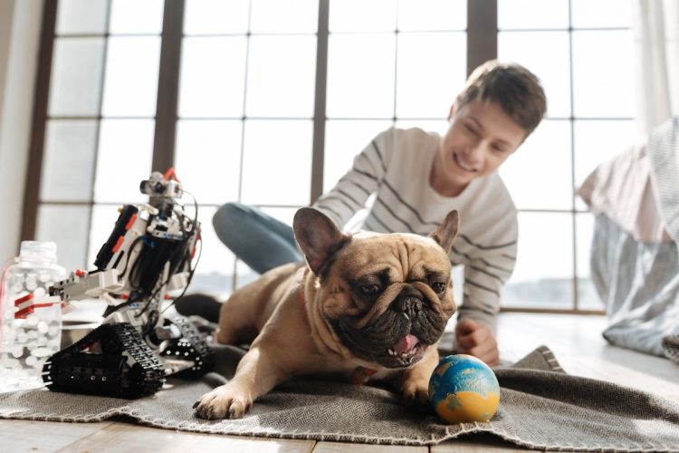 Comment choisir les jouets adaptés aux races de chiens à forte mâchoire ?